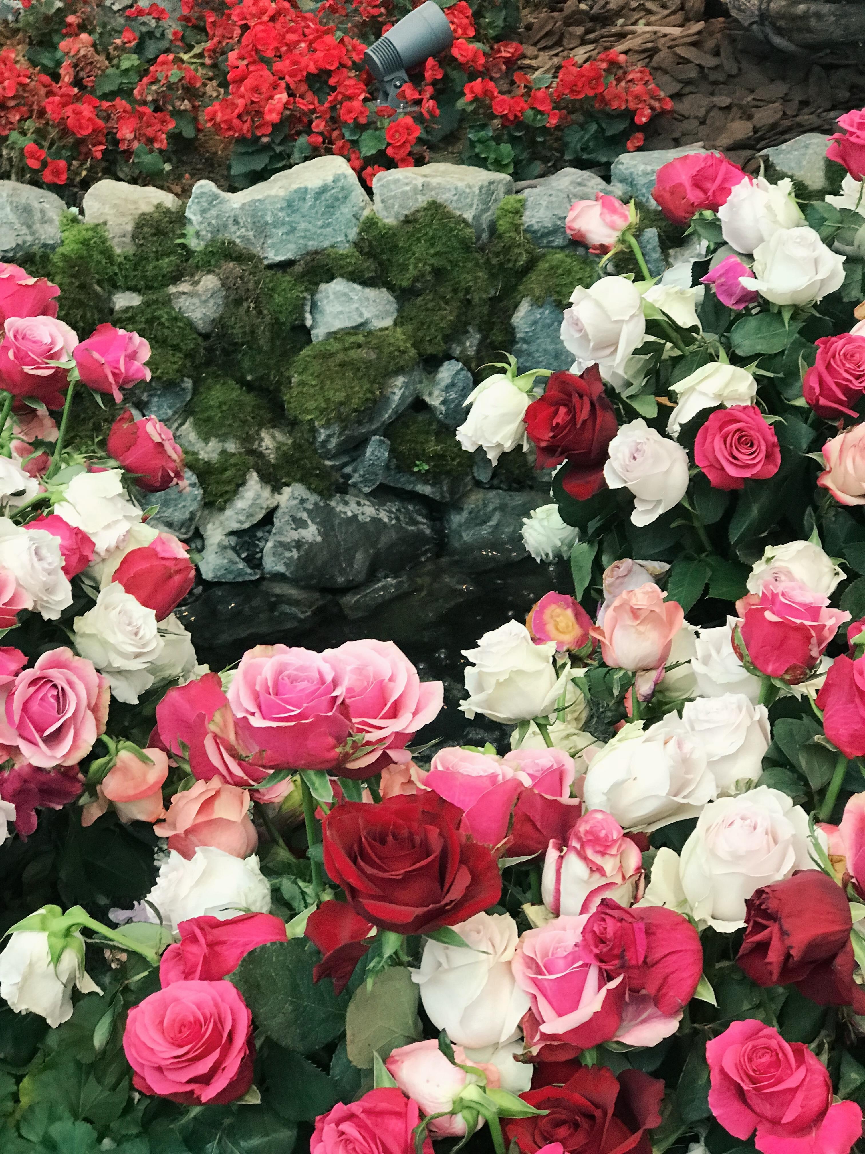 Kinh nghiem du lich Singapore anh 16