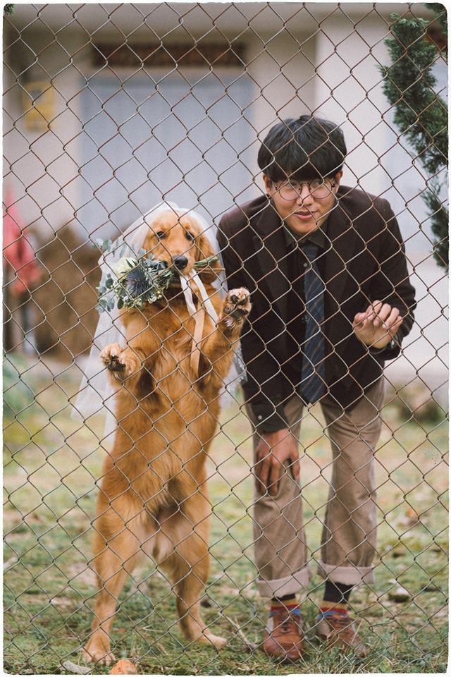 chup hinh cuoi voi cun anh 3