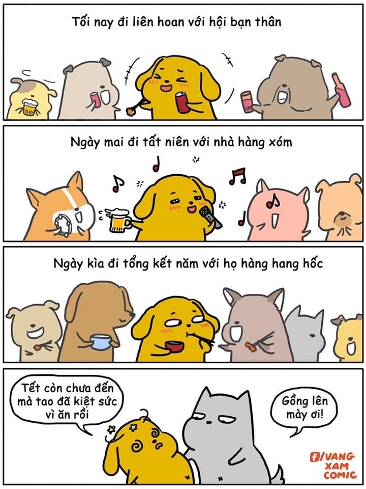 don nha ngay Tet anh 6