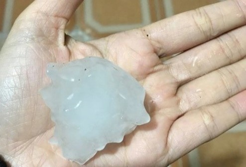 Dan mang khoe anh 'dem 30 la lung' o mien Bac khi troi do mua hinh anh