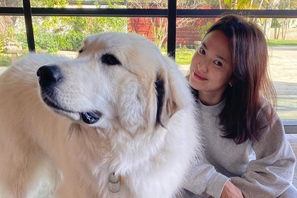 Anh doi thuong cua Song Hye Kyo sau khi tro ve tu tam dich hinh anh