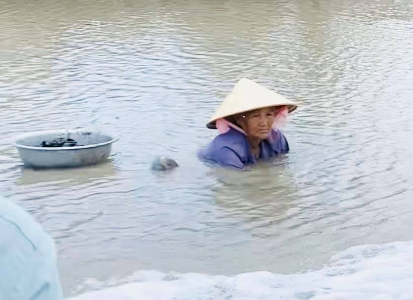 Thủy Tiên ảnh 2 Thuy Tien anh 2