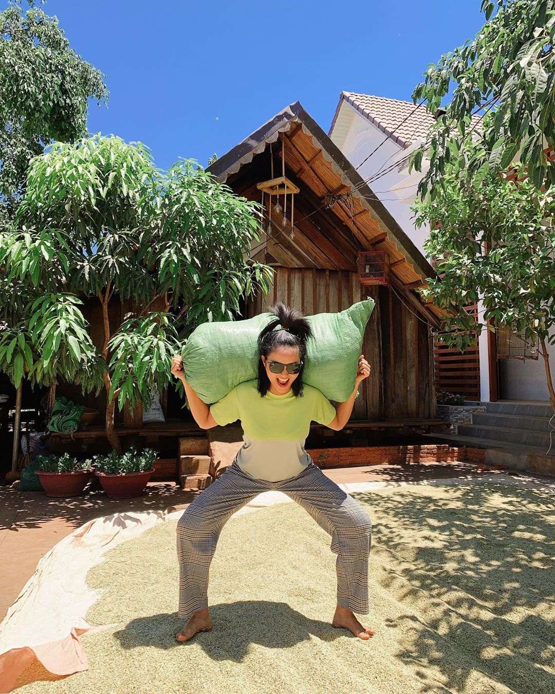 hoa hau mua dich anh 19