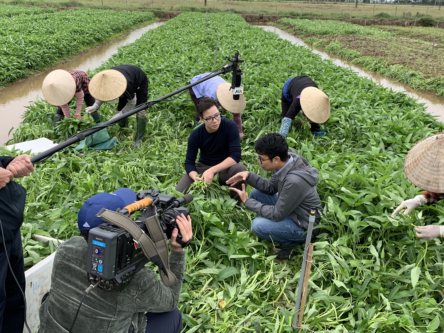 BTV Thoi su Hoang Duong anh 3