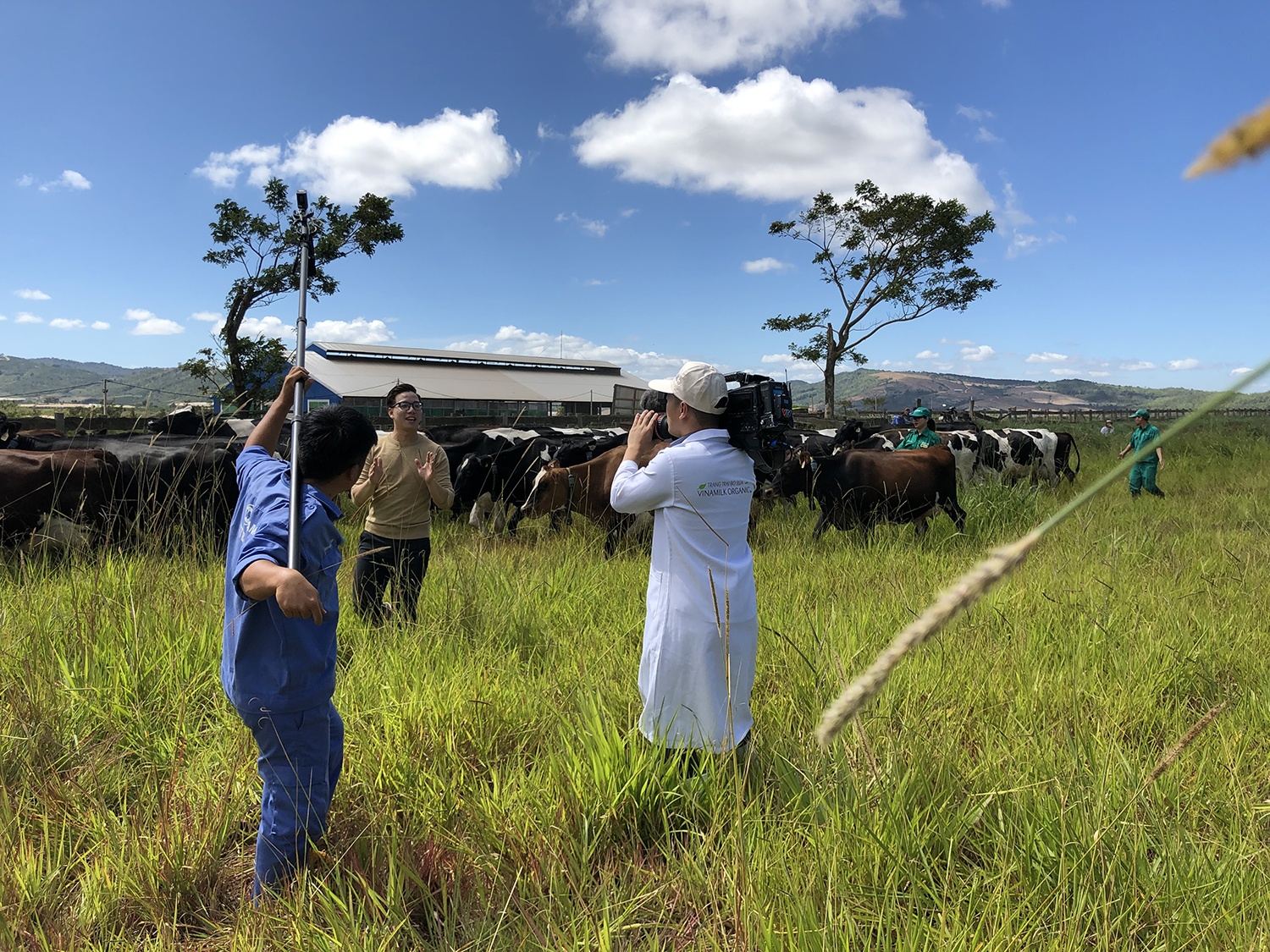 BTV Thoi su Hoang Duong anh 4