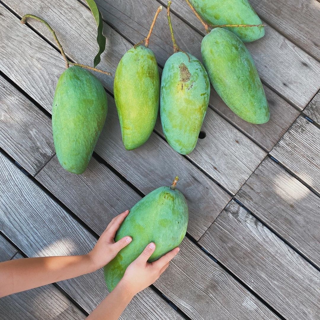 tai le cua sao Viet anh 4