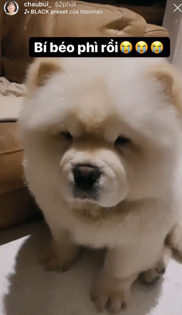 Binz yeu Chau Bui anh 3