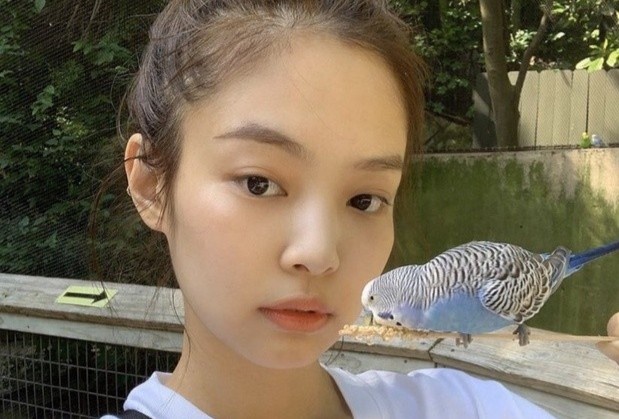 Vi sao Jennie (Black Pink) duoc goi la nu than mat moc? hinh anh