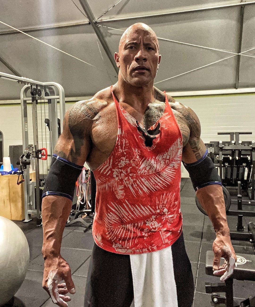 The Rock hoi be anh 2