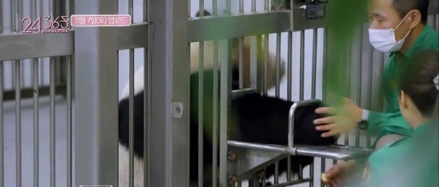 BlackPink bi chi trich anh 2