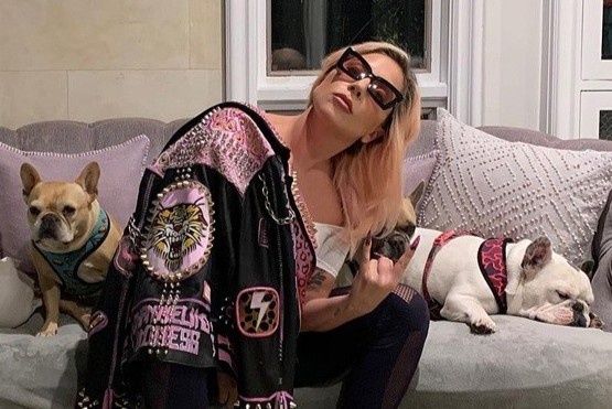 Lady Gaga treo thuong 500.000 USD de chuoc cho hinh anh