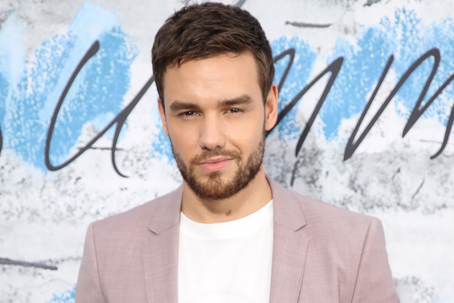 Liam Payne anh 9