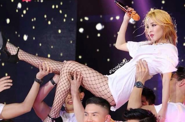 Ca si pha vo moi tieu chuan ve cai dep hinh anh