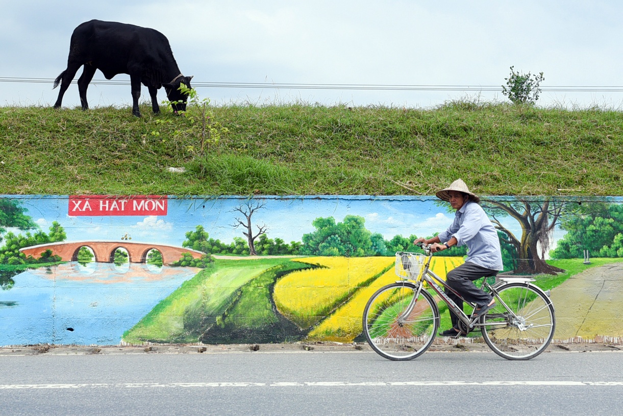 Bien trien de thanh duong bich hoa dai nhat Ha Noi hinh anh