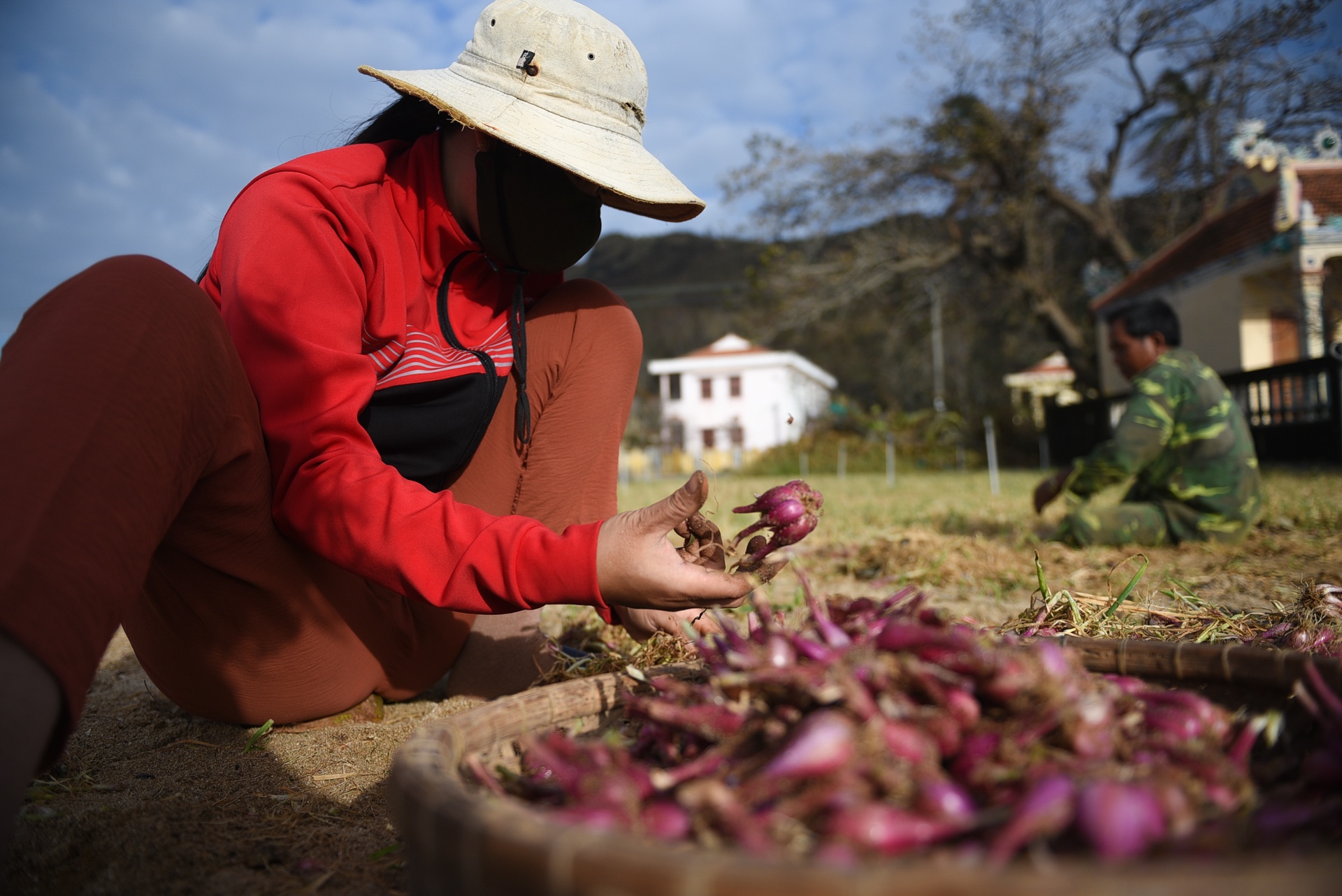 dao ly son sau bao,  cuoc song sau bao anh 20