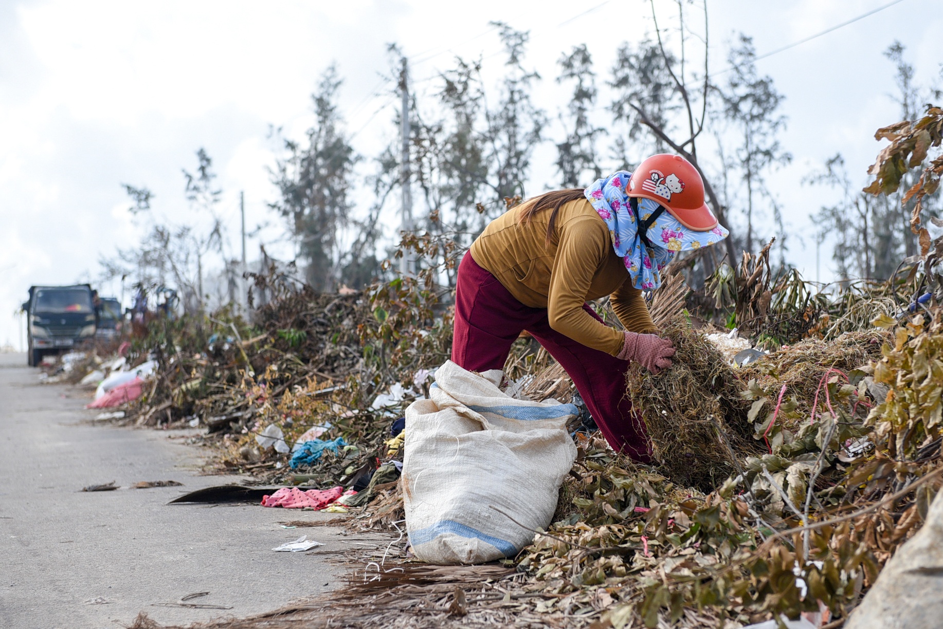 đảo lý sơn sau bão, cuộc sống sau bão ảnh 12 dao ly son sau bao, cuoc song sau bao anh 12