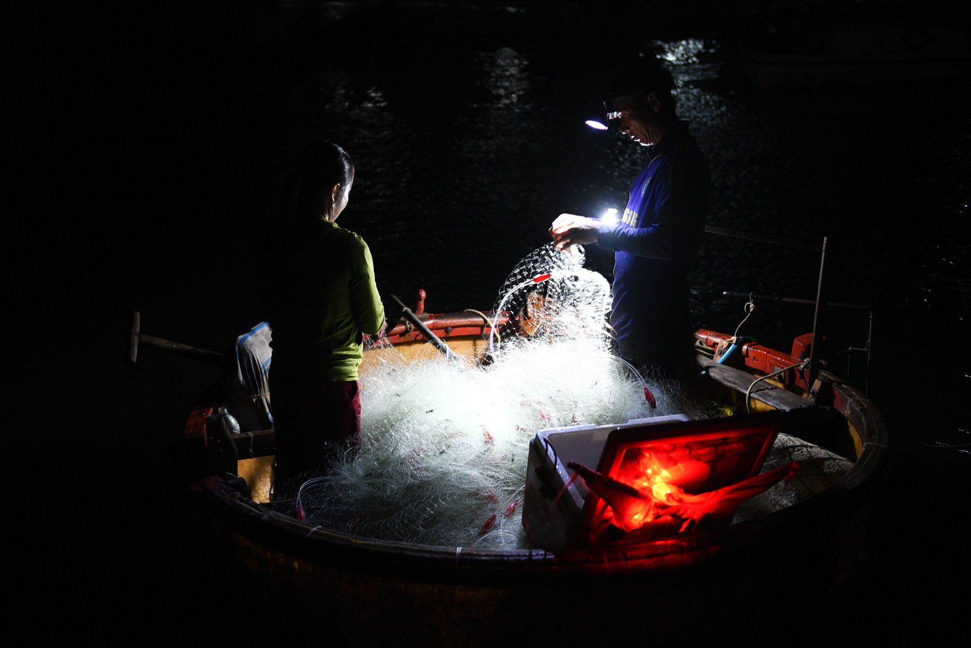 dao ly son sau bao,  cuoc song sau bao anh 33