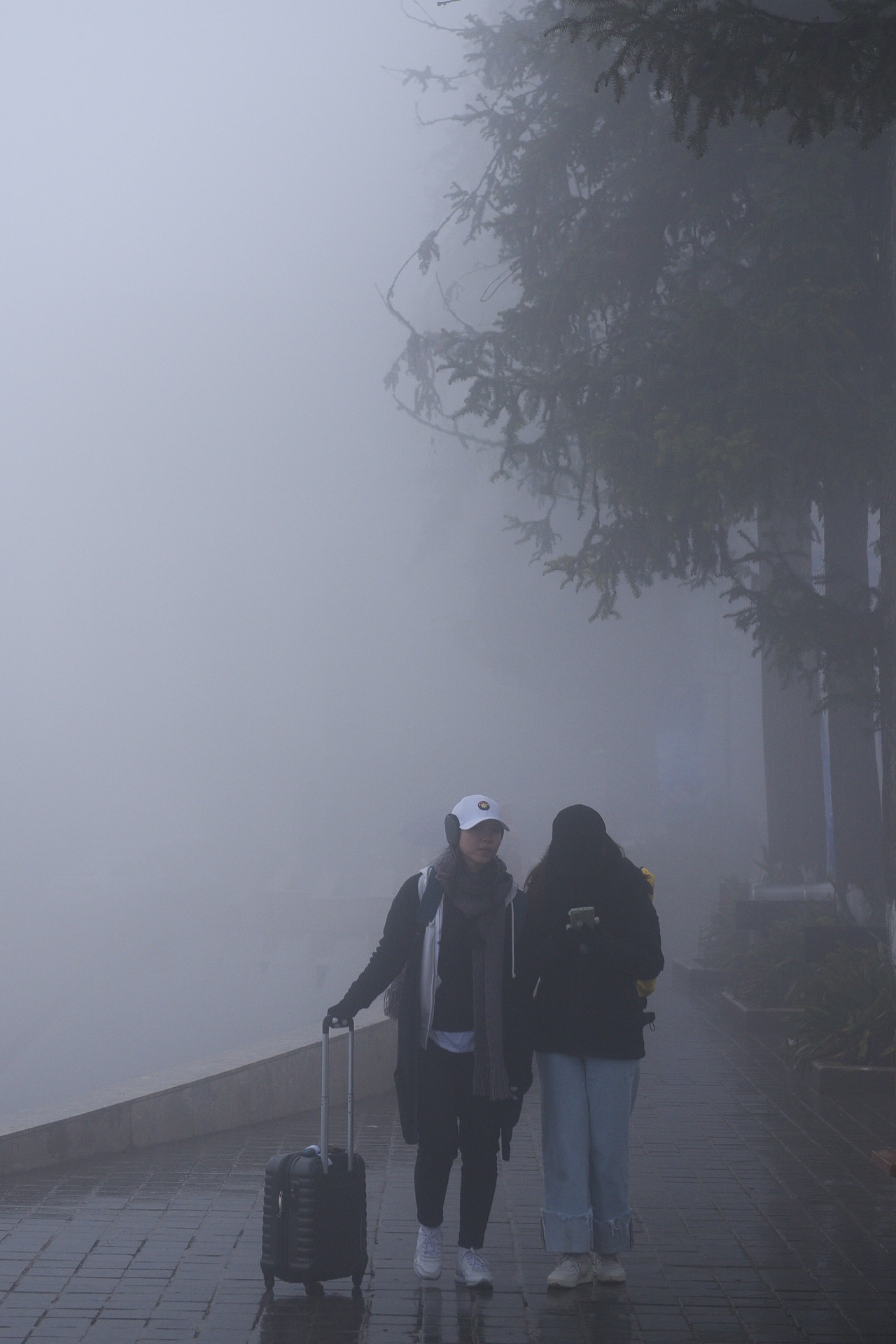 Sa Pa chat cung nguoi,  du lich Tet duong anh 4