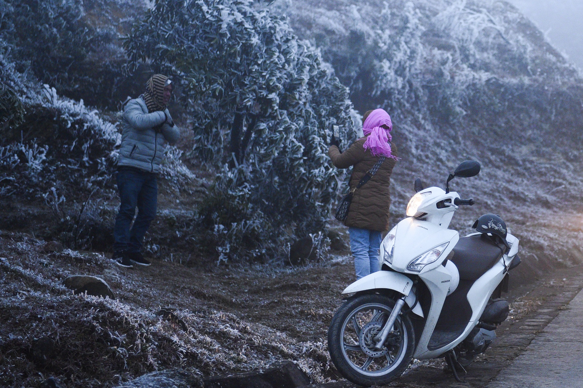 Mau Son xuat hiejn bang tuyet,  ret dam ret hai anh 1