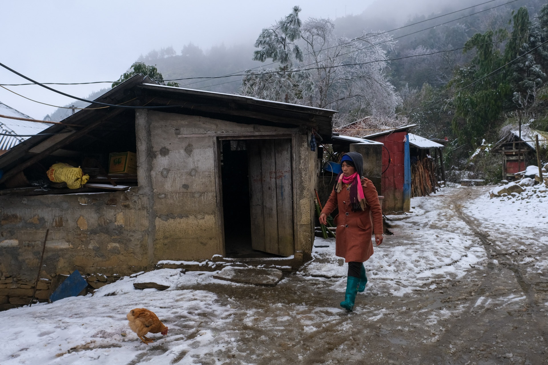 ret dam ret hai,  bang tuyet Y Ty,  doi song nguoi dan trong gia lanh anh 4