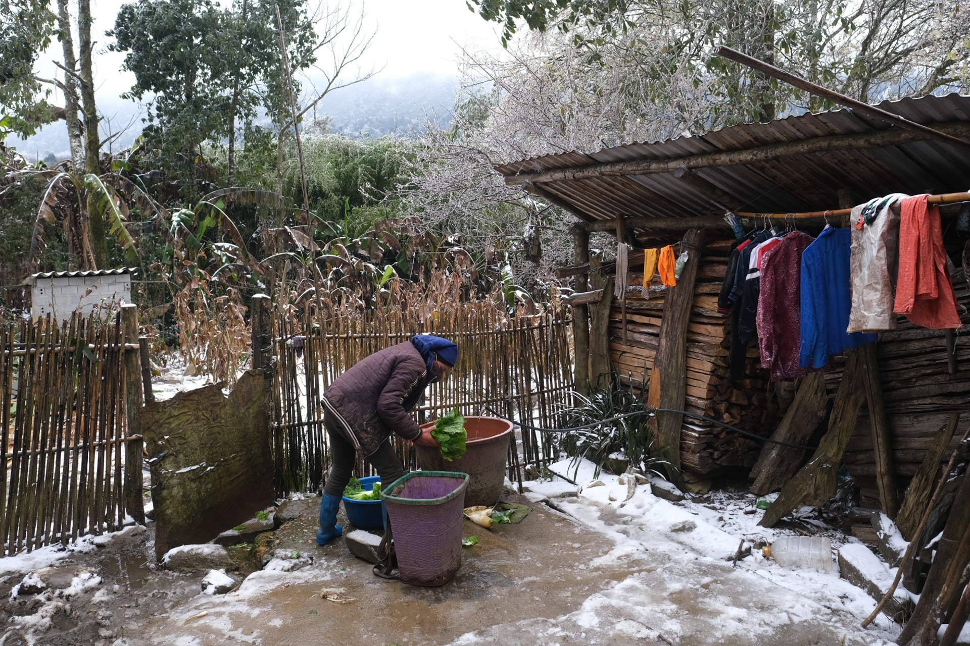 ret dam ret hai,  bang tuyet Y Ty,  doi song nguoi dan trong gia lanh anh 2