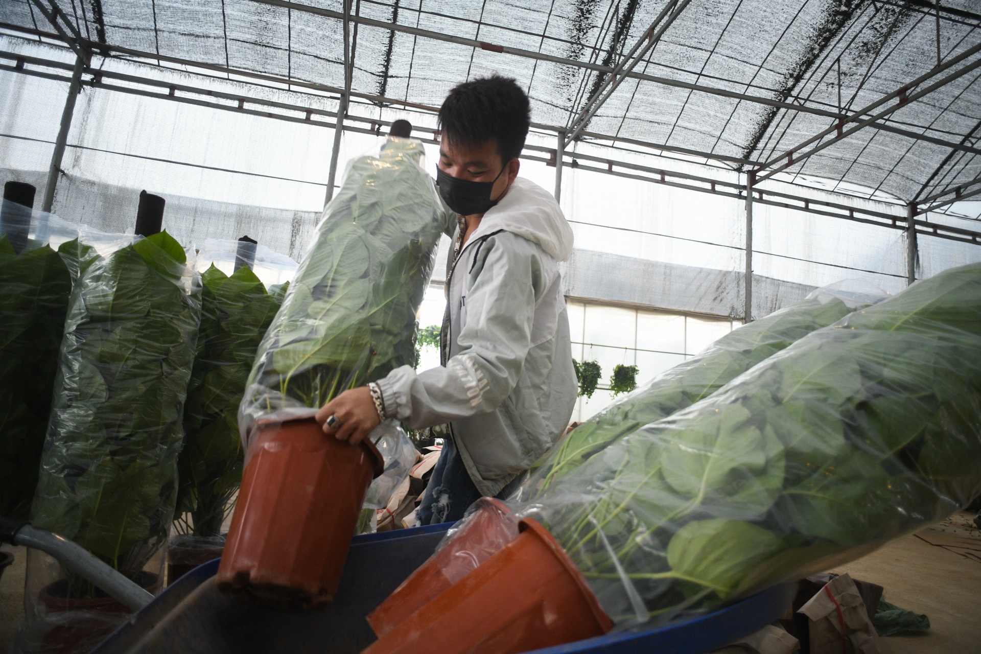 Cho hoa ngay tet,  cho hoa tap nap anh 5