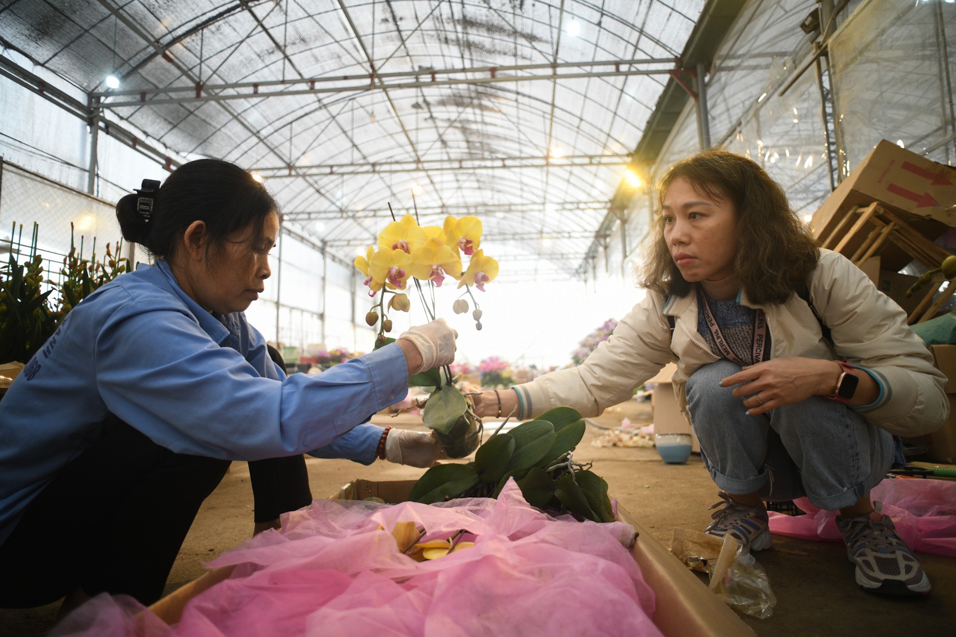 Cho hoa ngay tet,  cho hoa tap nap anh 10