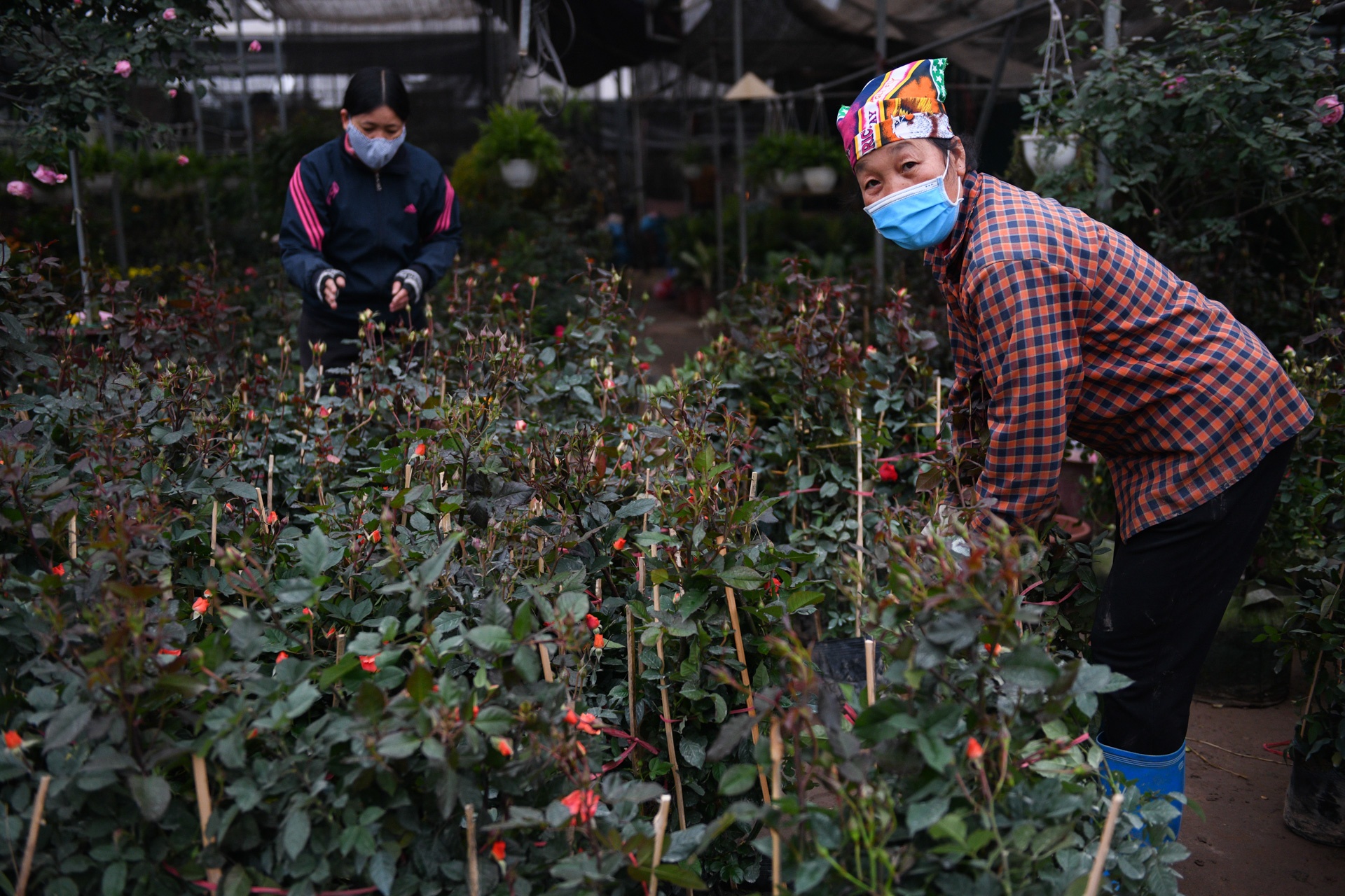 Cho hoa ngay tet,  cho hoa tap nap anh 9