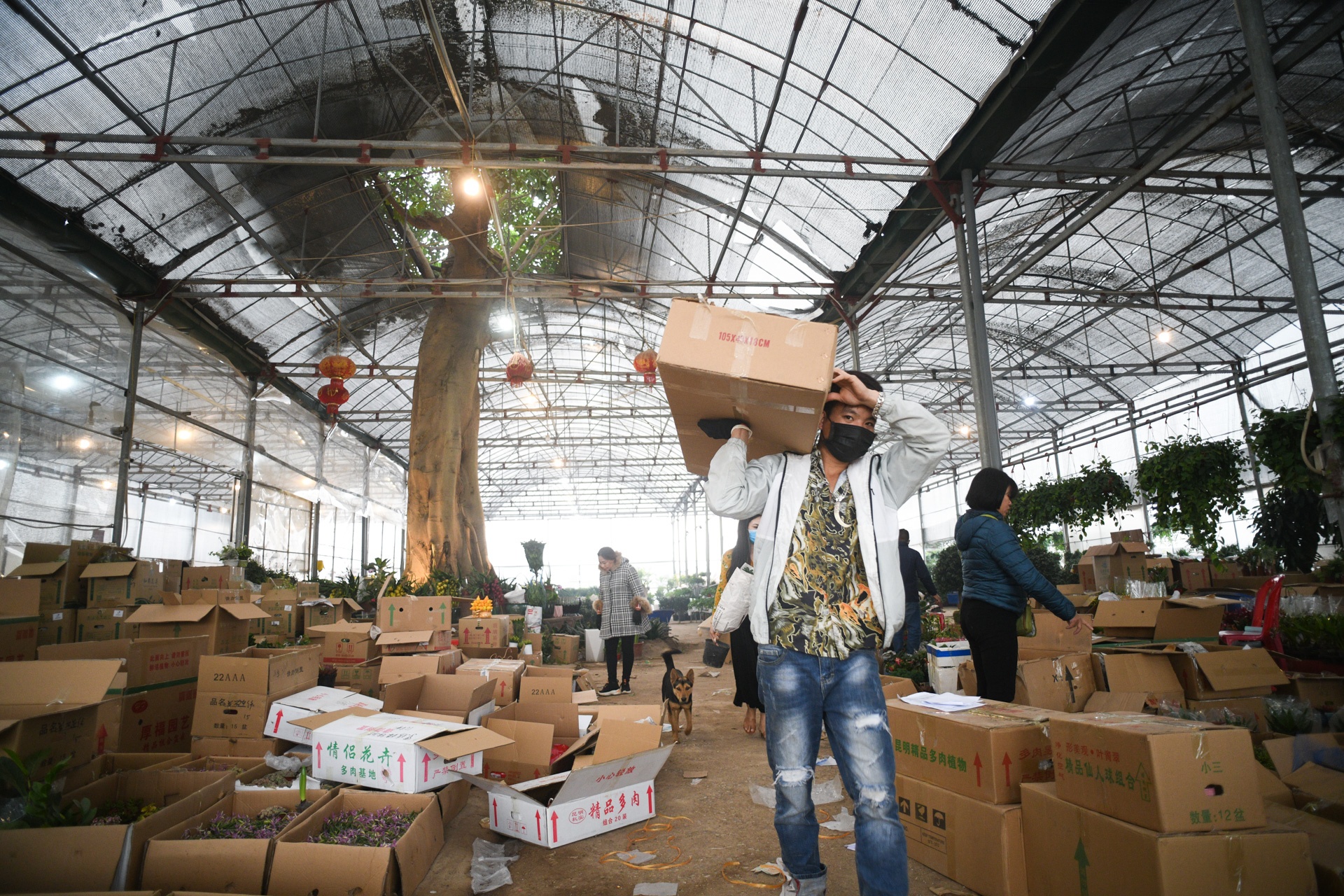 Cho hoa ngay tet,  cho hoa tap nap anh 4