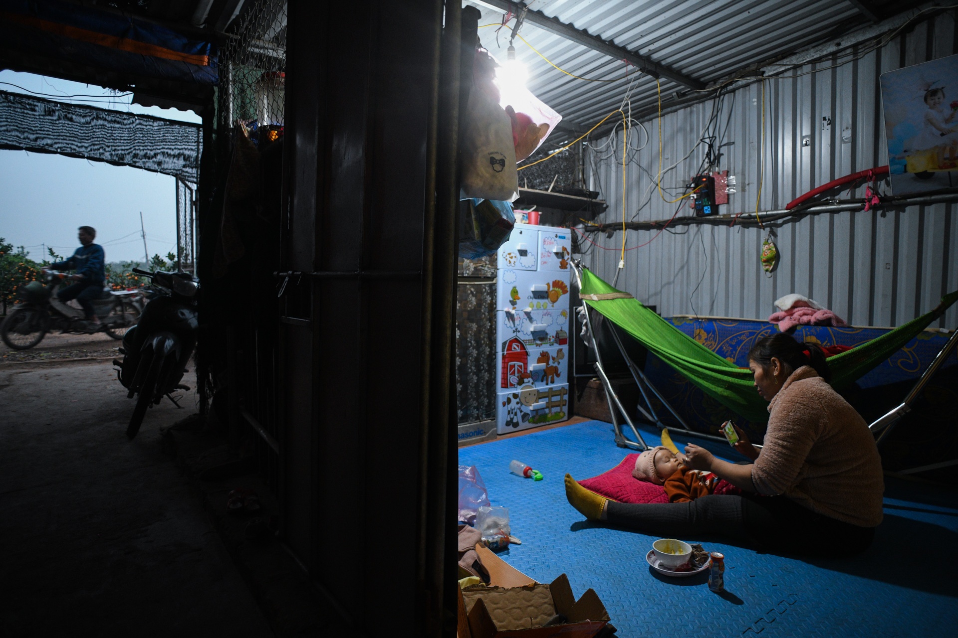 Tet Tan Suu,  buon ban cay canh,  Tet nguyen dan anh 33