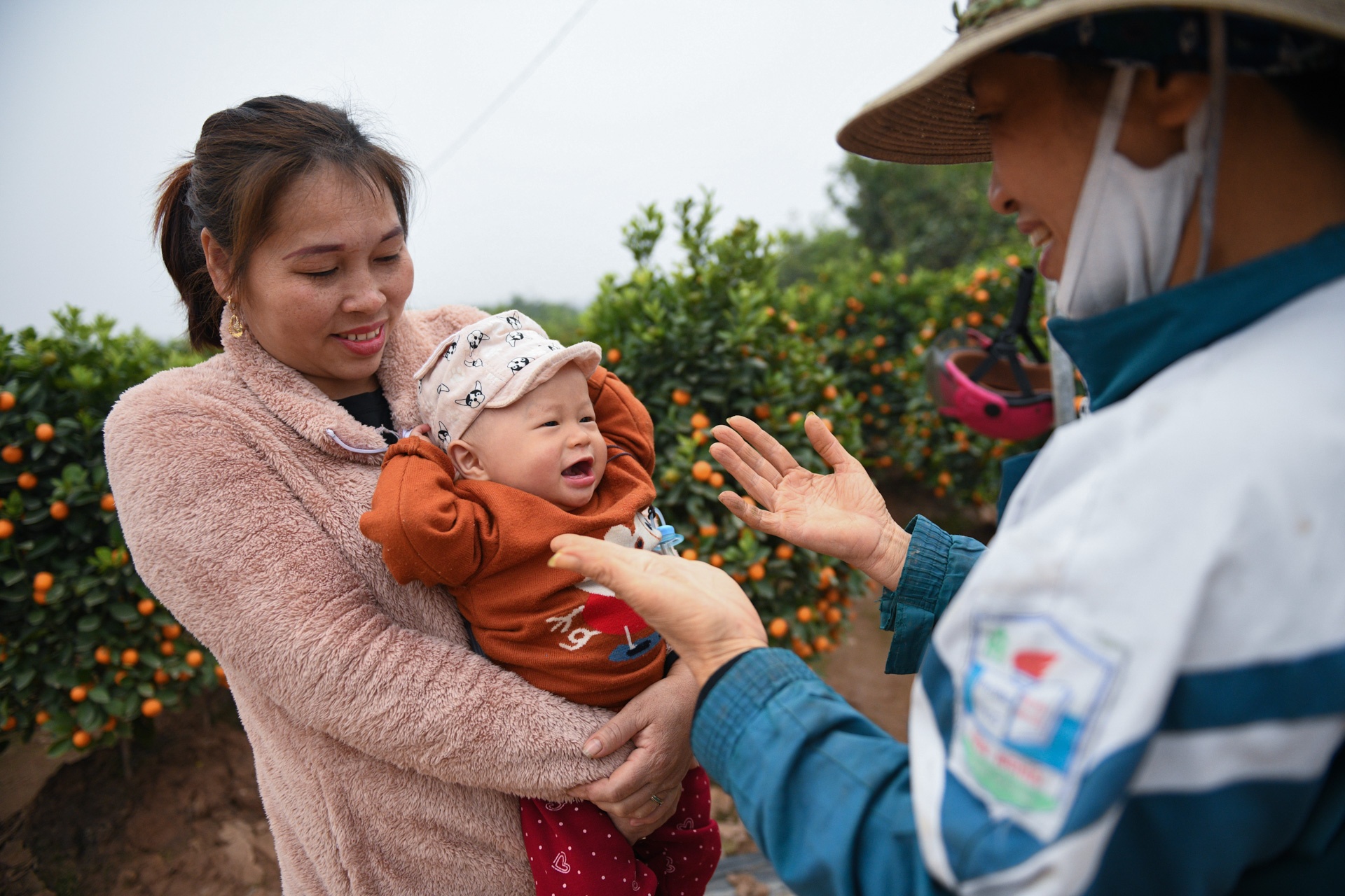 Tet Tan Suu,  buon ban cay canh,  Tet nguyen dan anh 25