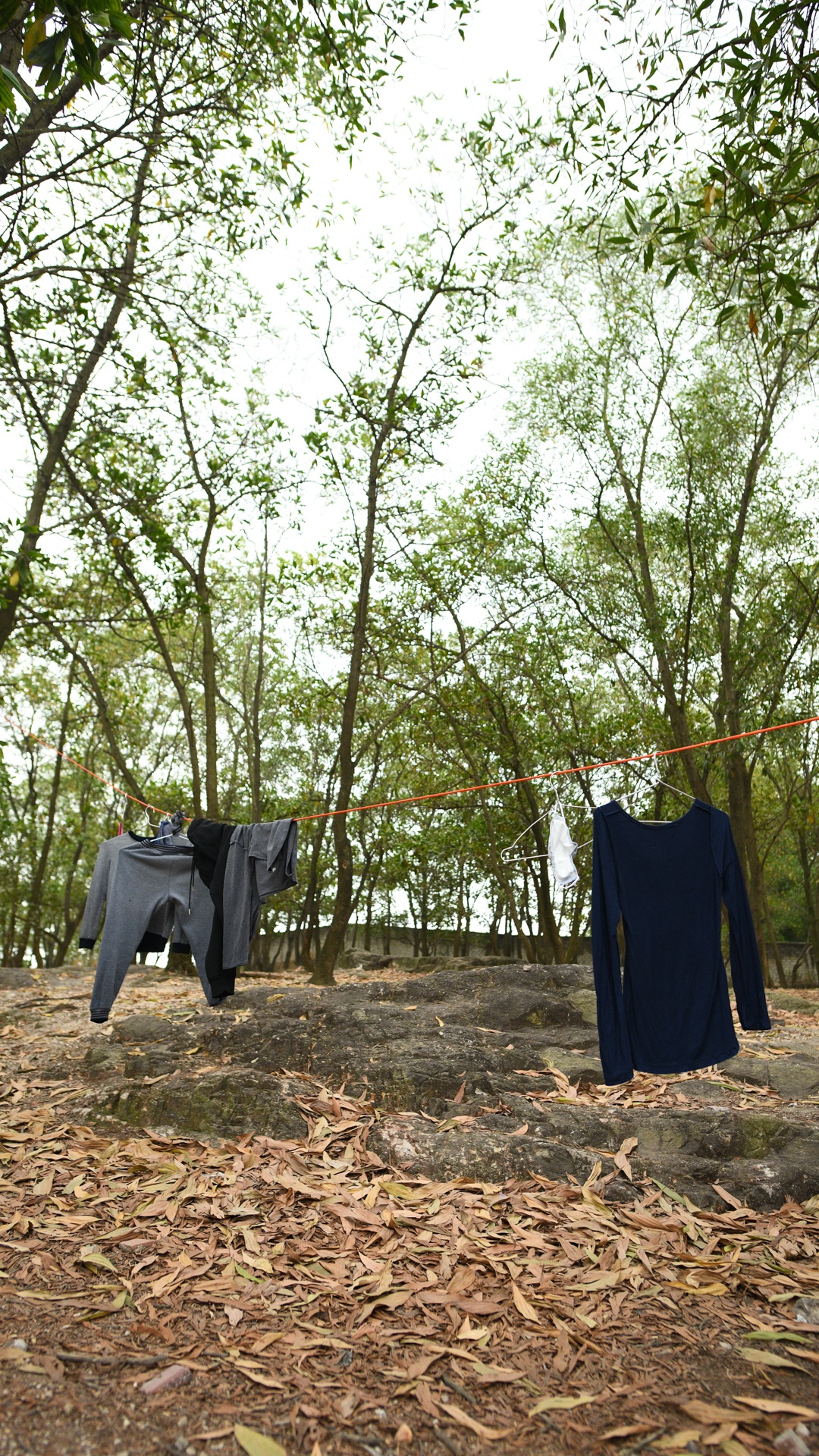 hoc sinh cach ly tap trung anh 40