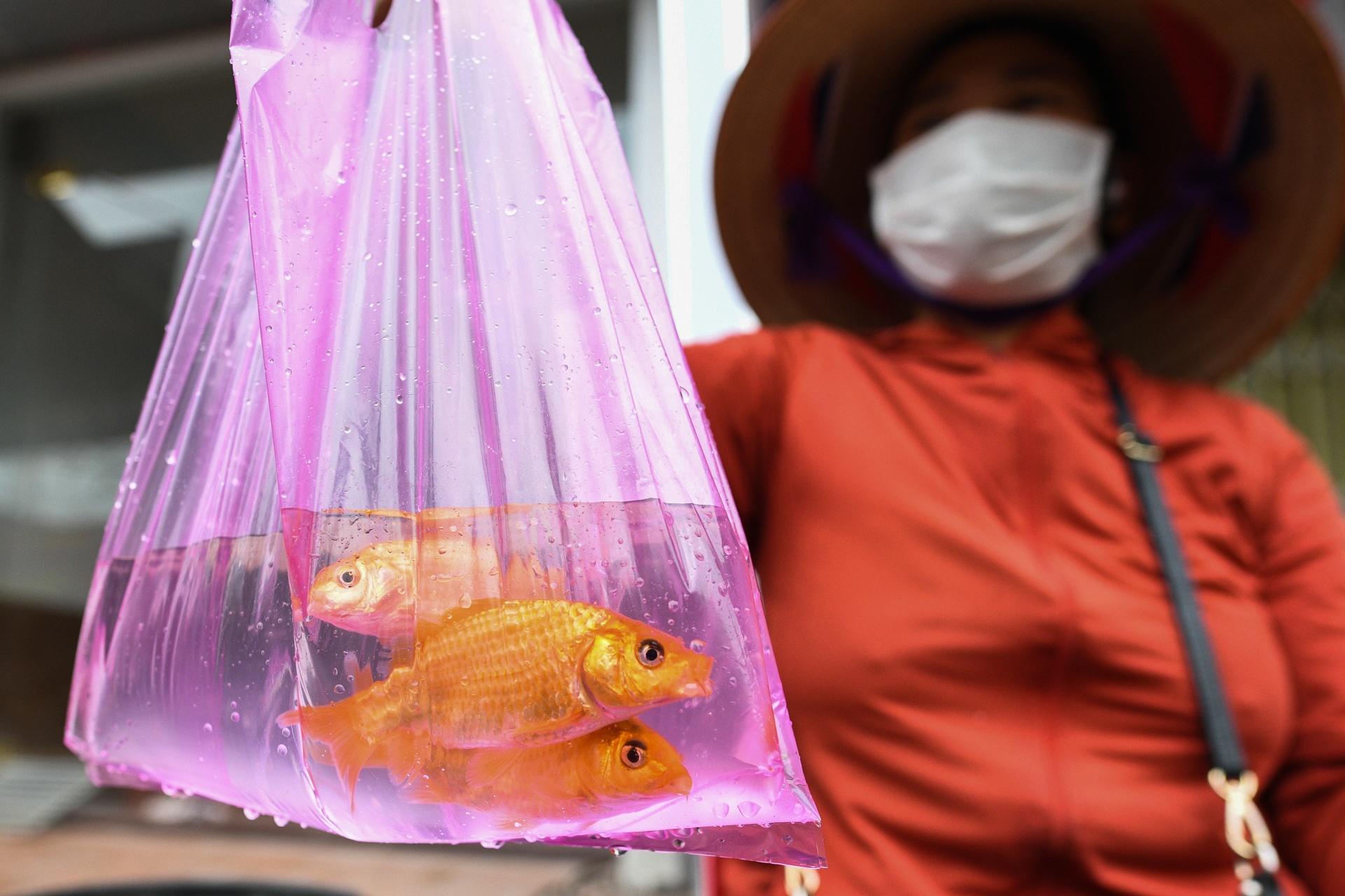 Nguoi dan chi Linh cung le ong Cong ong Tao tai nha anh 8