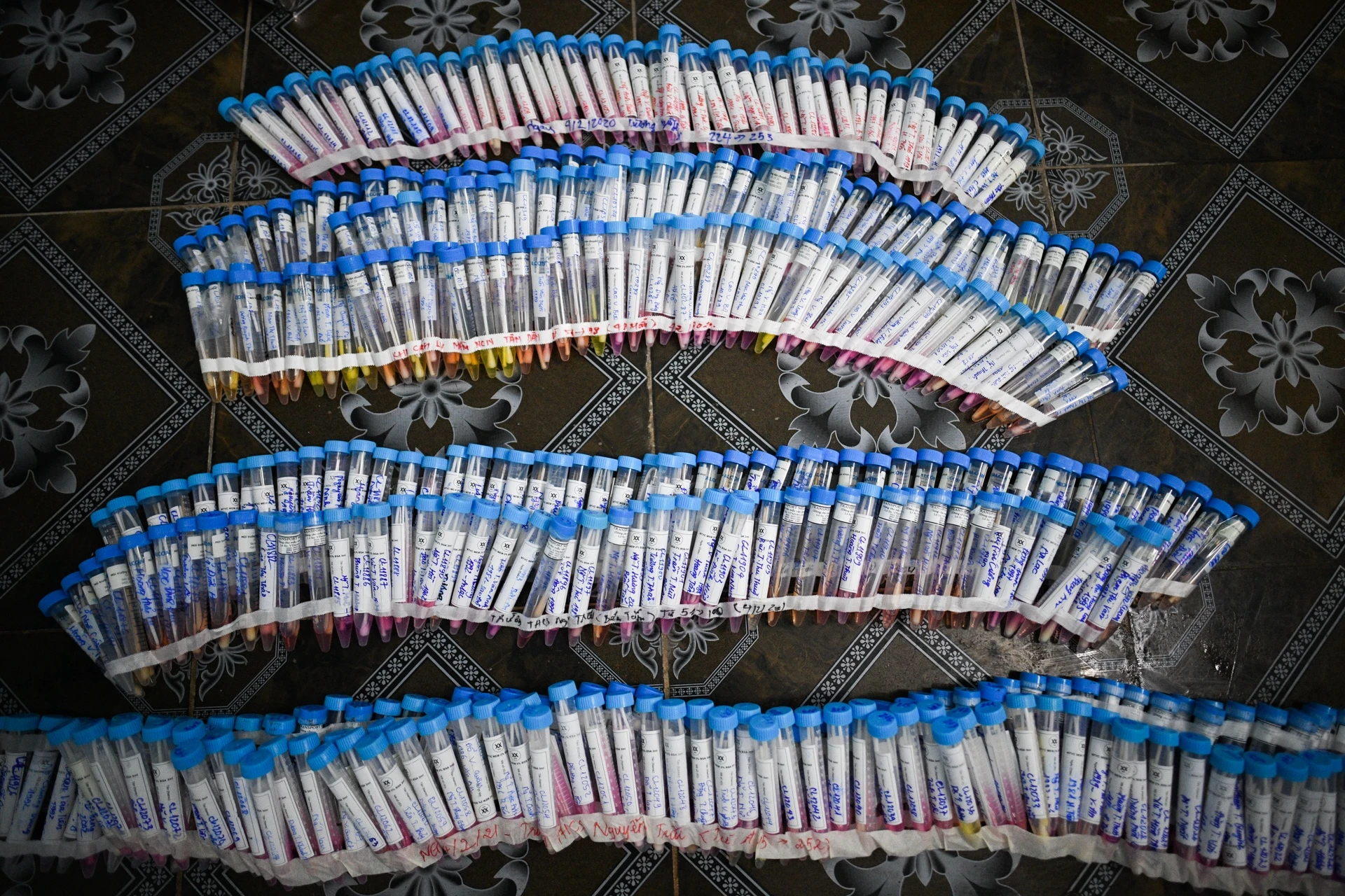 Doi quan khong ngu tai vien da chien so 1 Hai Duong anh 28