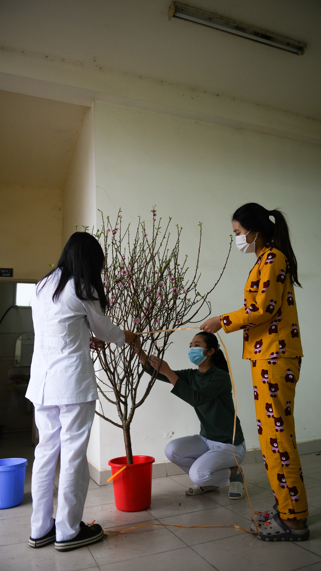 Sinh vien y te,  an tet trong khu cach ly anh 25