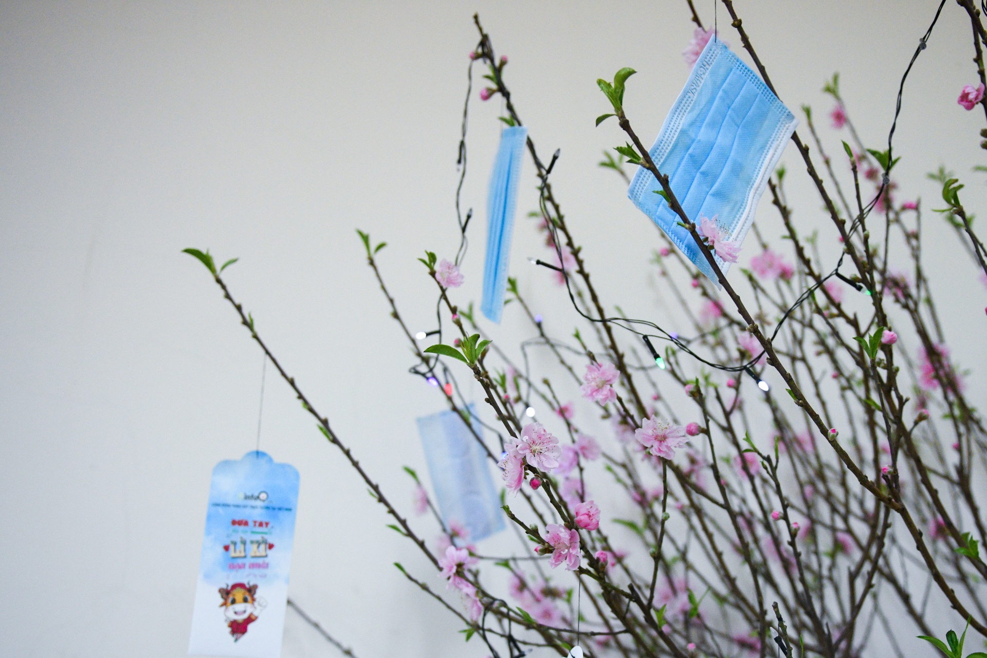 Tet dac biet noi tam dich Chi Linh anh 17