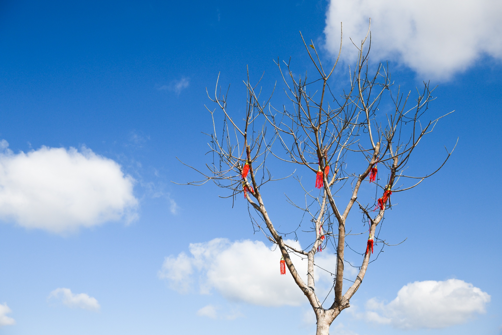 Tet dac biet noi tam dich Chi Linh anh 6