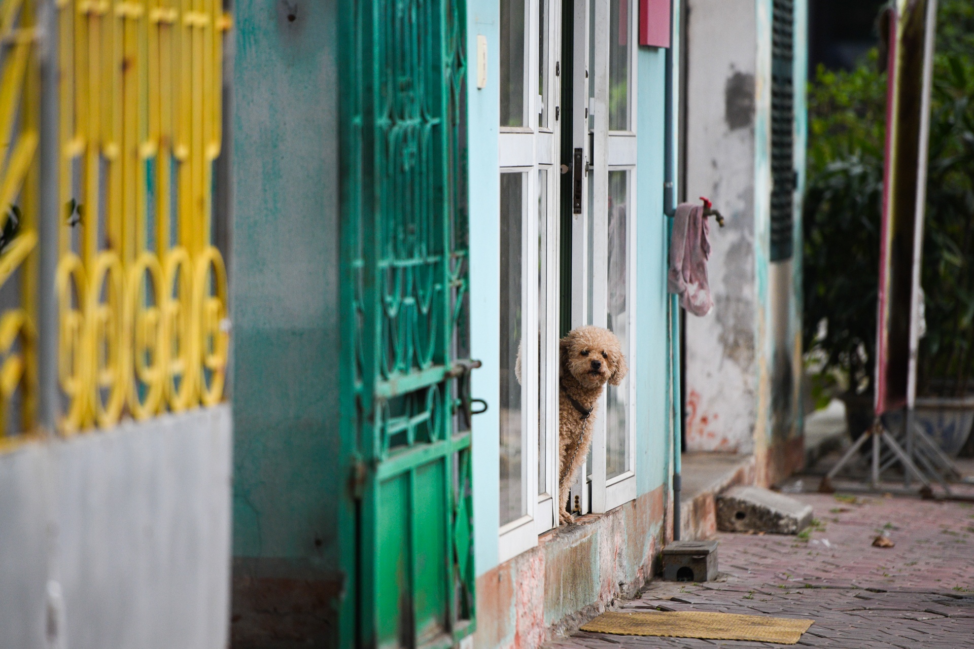 Hai Duong cach ly xa hoi toan tinh anh 5