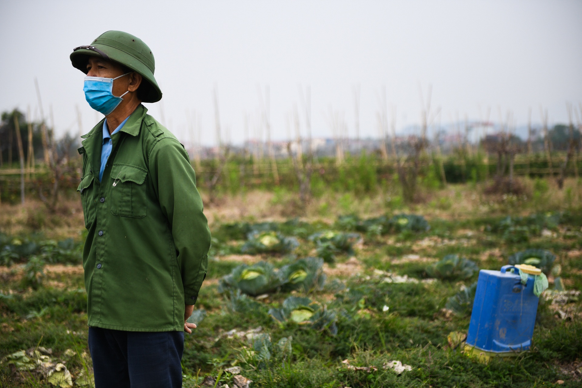 nong san khong the tieu thu,  giai cuu nong san,  tam dich Hai Duong anh 7