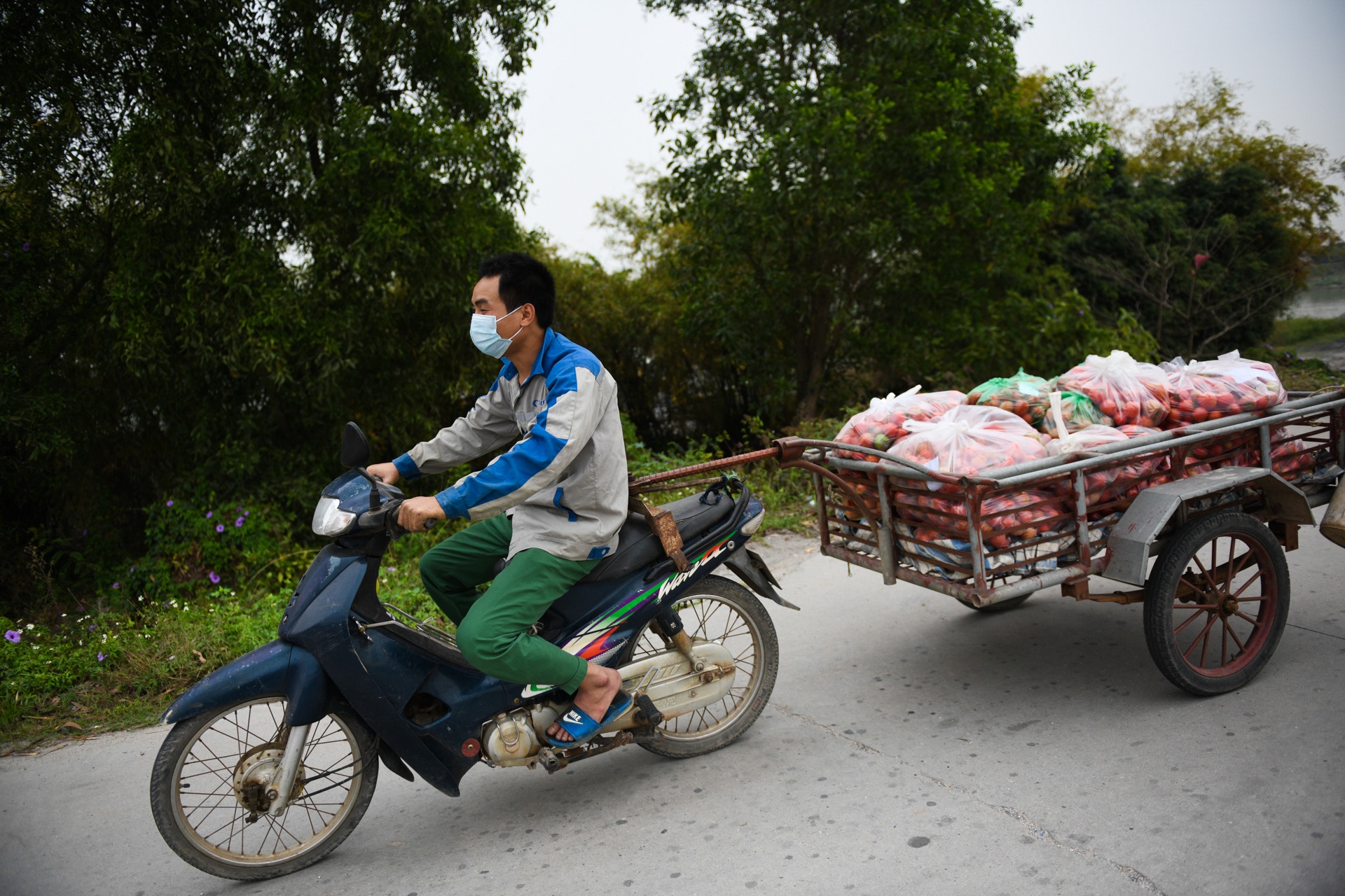 nong san khong the tieu thu,  giai cuu nong san,  tam dich Hai Duong anh 6