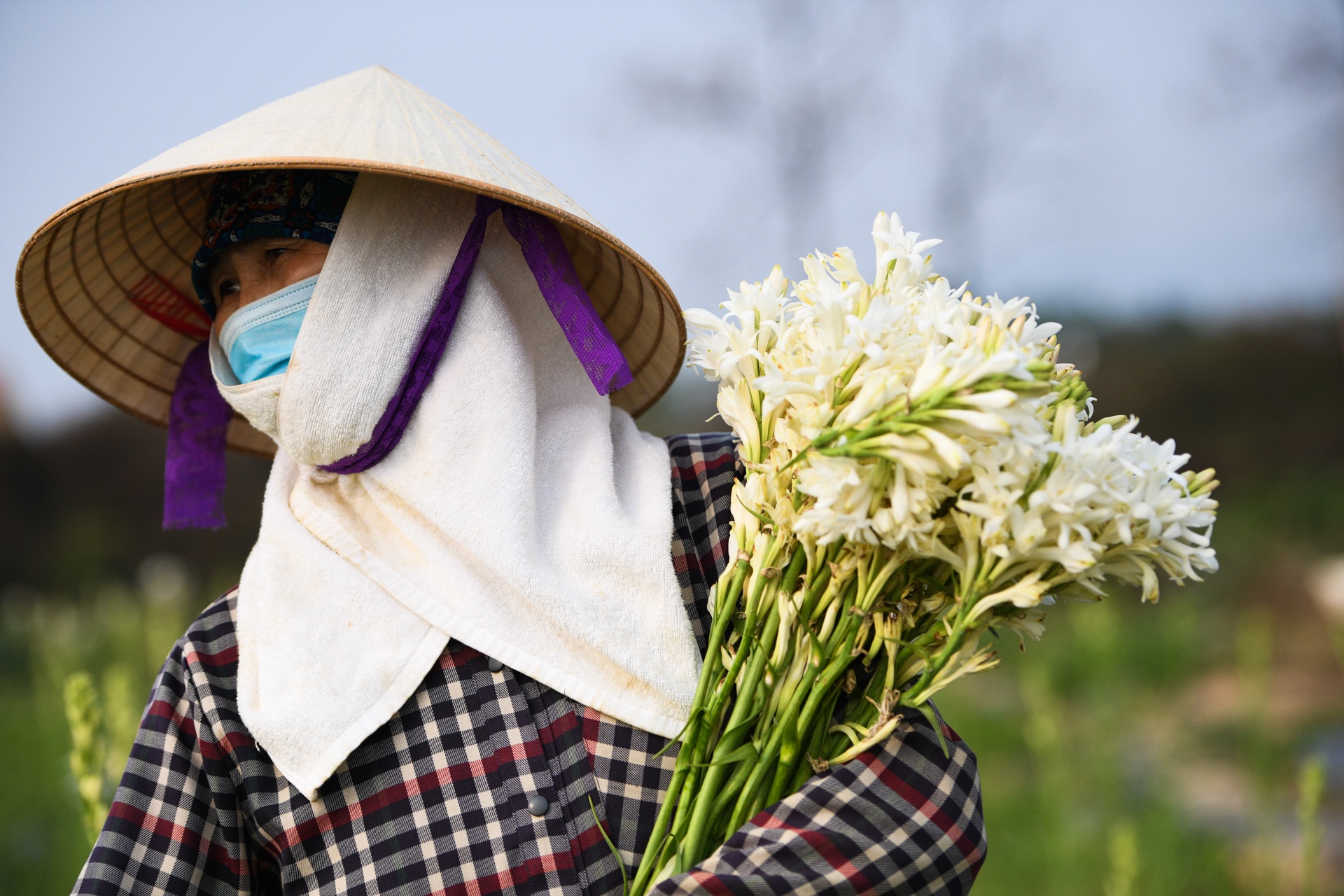 nong san khong the tieu thu,  giai cuu nong san,  tam dich Hai Duong anh 10