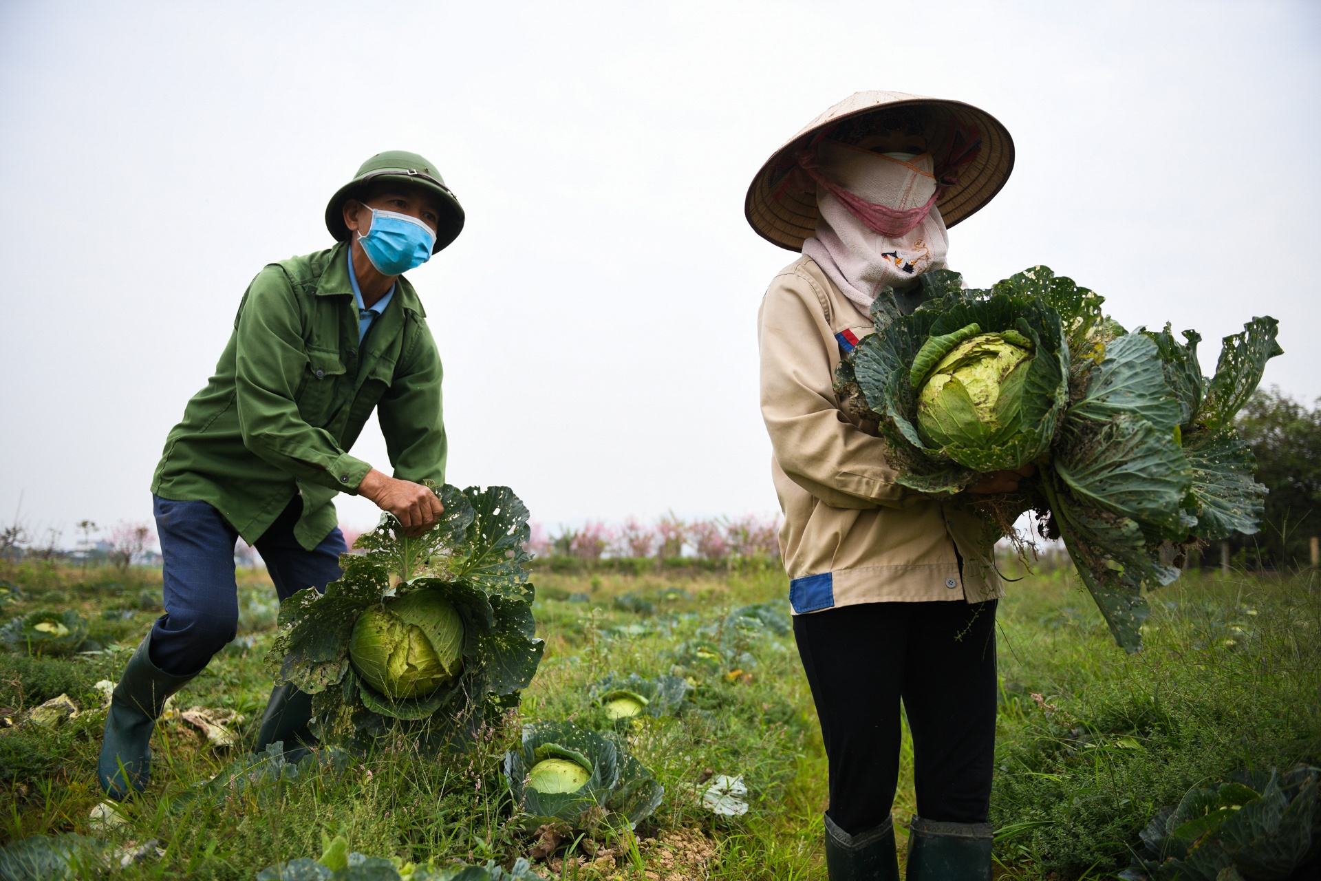 lam chu tinh hinh o dich moi anh 4