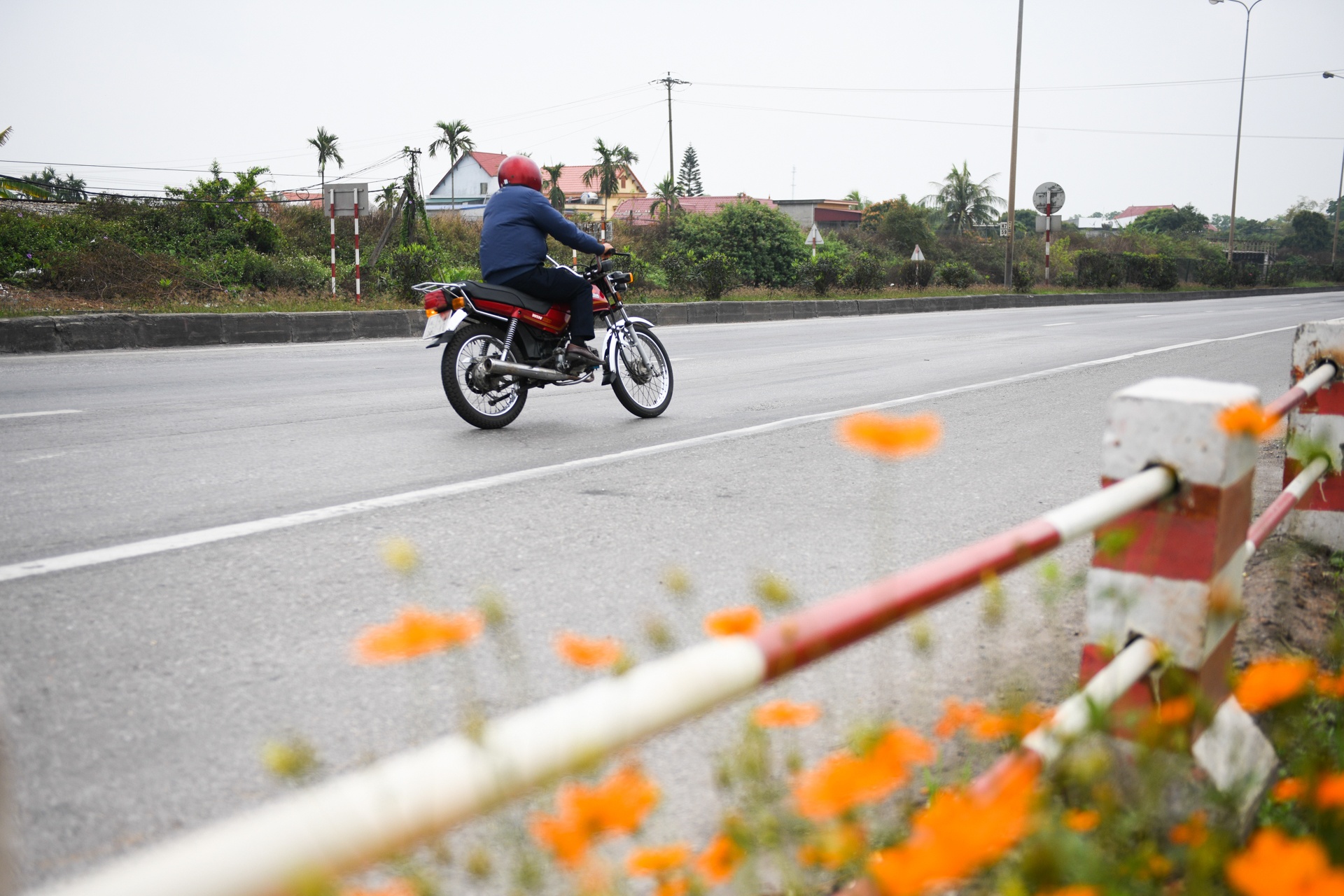 Dai dich covid anh 5