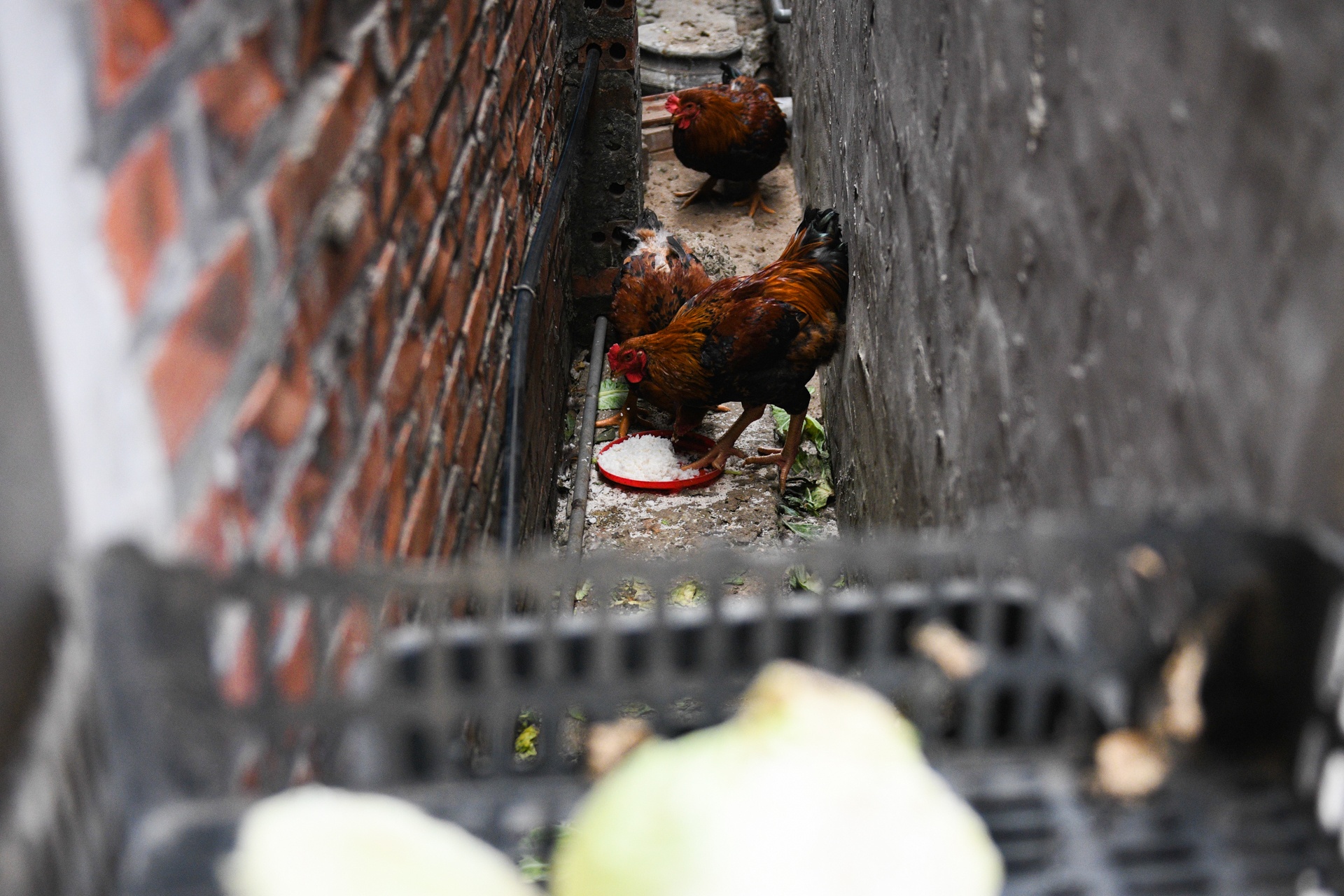 Doi song cong nhan giua mua dich anh 7