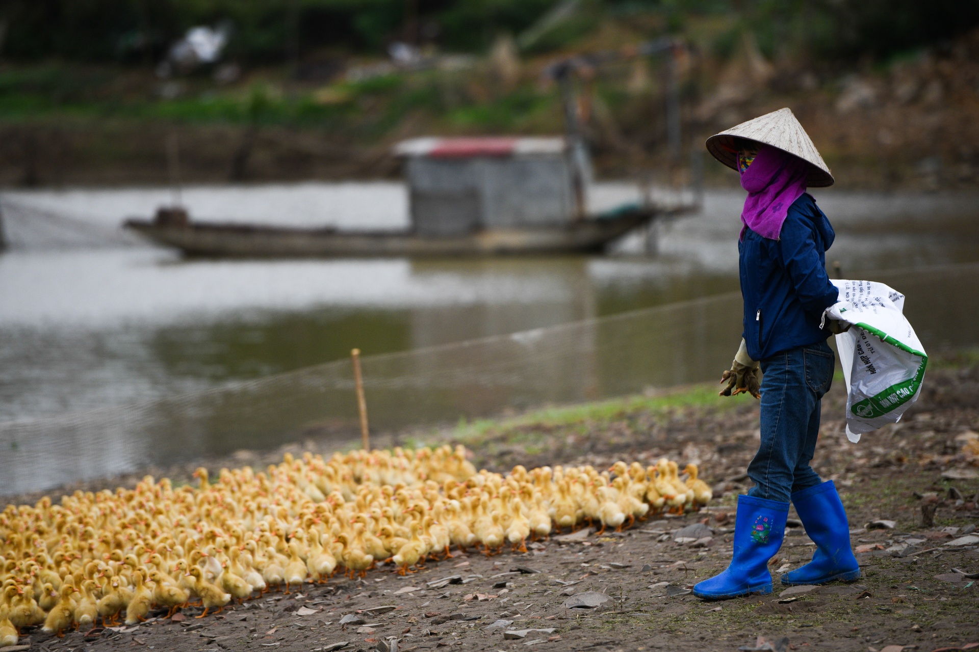 Go phong toa Chi Linh anh 11
