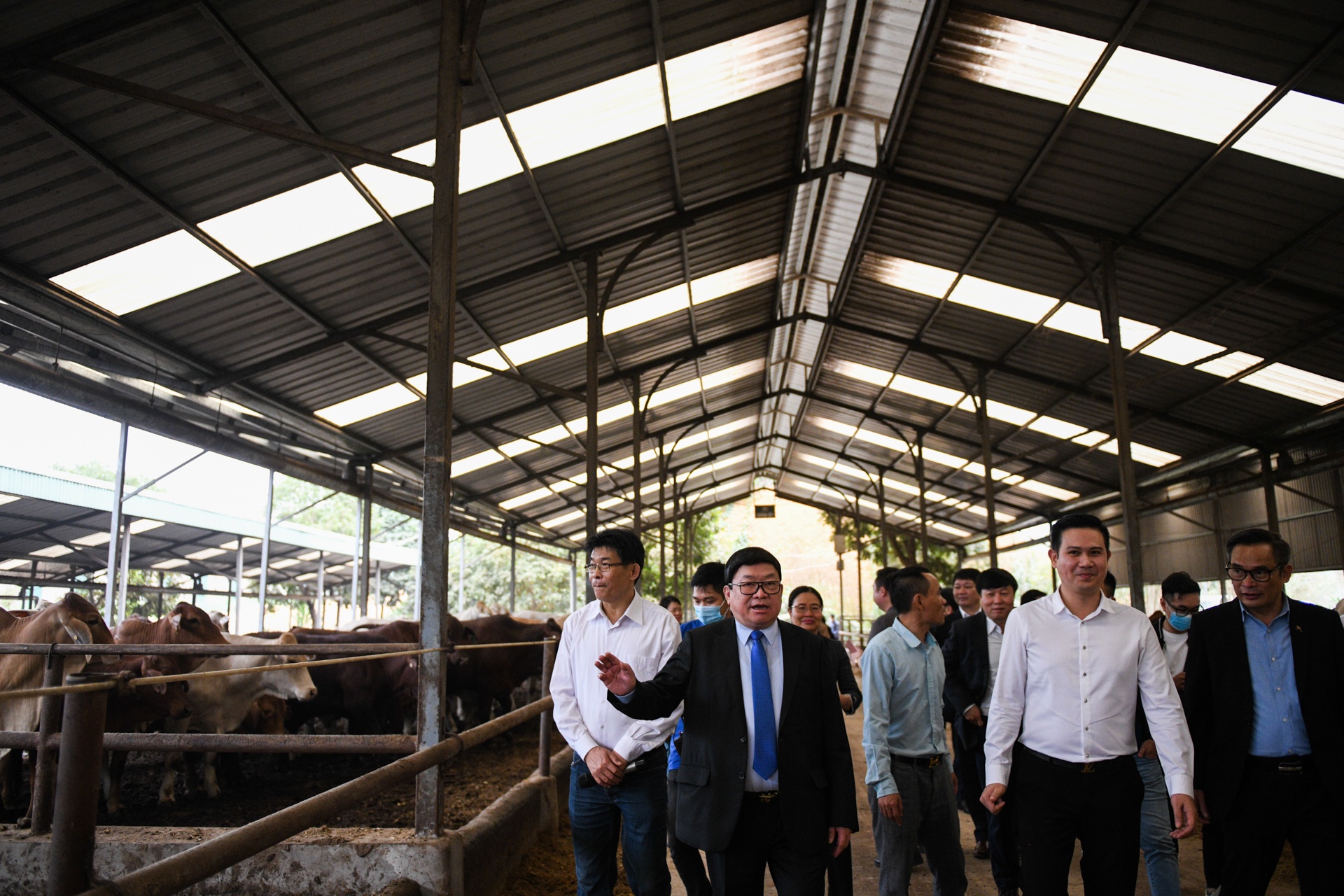 CEO Pham Van Tam ra mat phan bon huu co anh 5