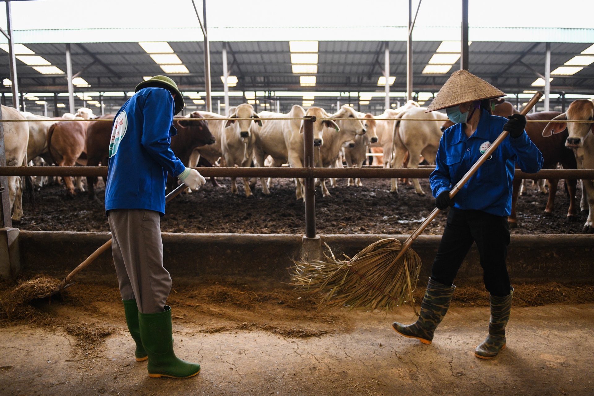 CEO Pham Van Tam ra mat phan bon huu co anh 7