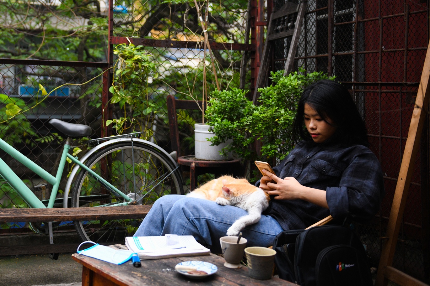 Kiem tien tu nhung can nha tap the cu o Ha Noi hinh anh