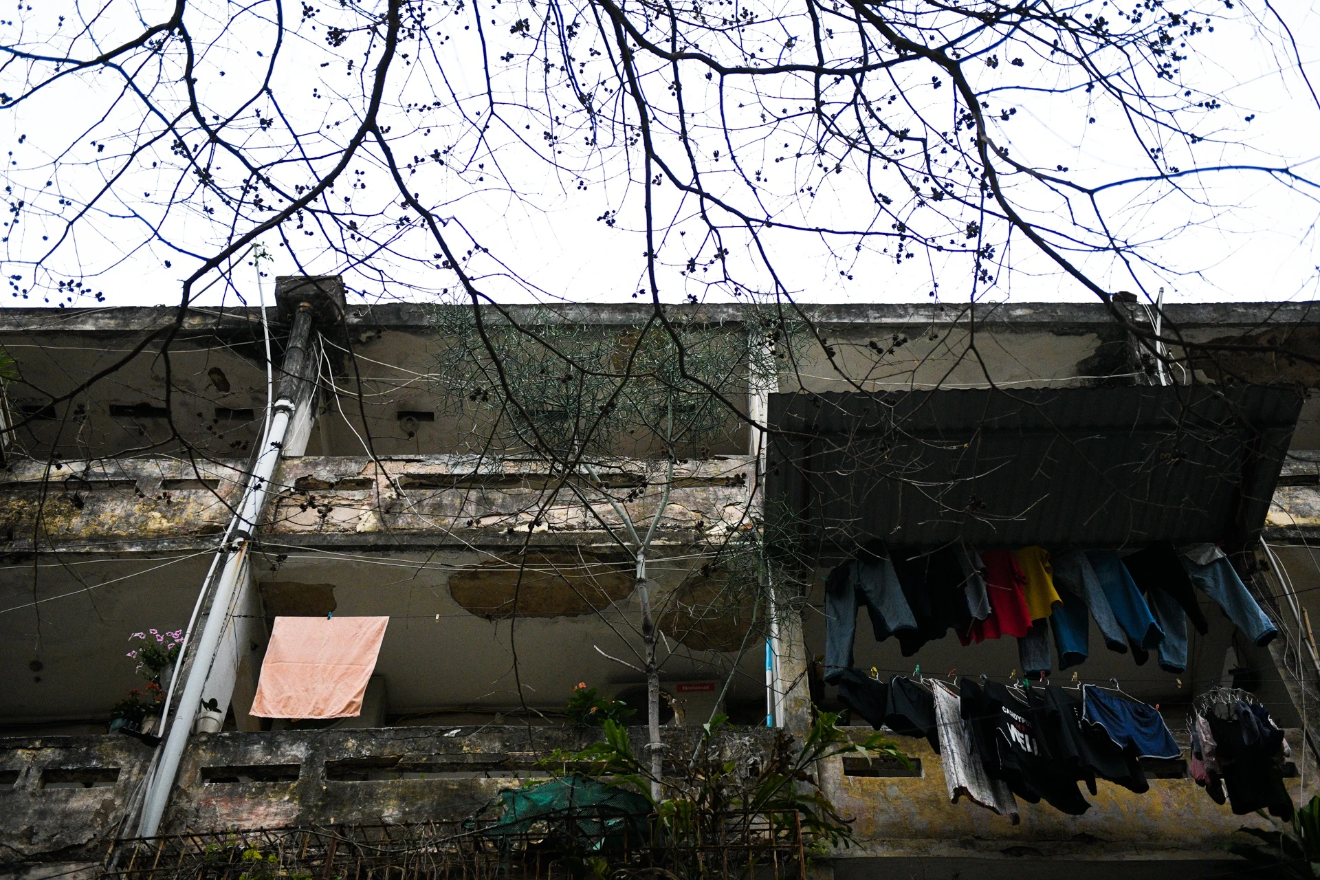 Kinh doanh trong khu tap the,  cuoc song trong cac khu tap the anh 19