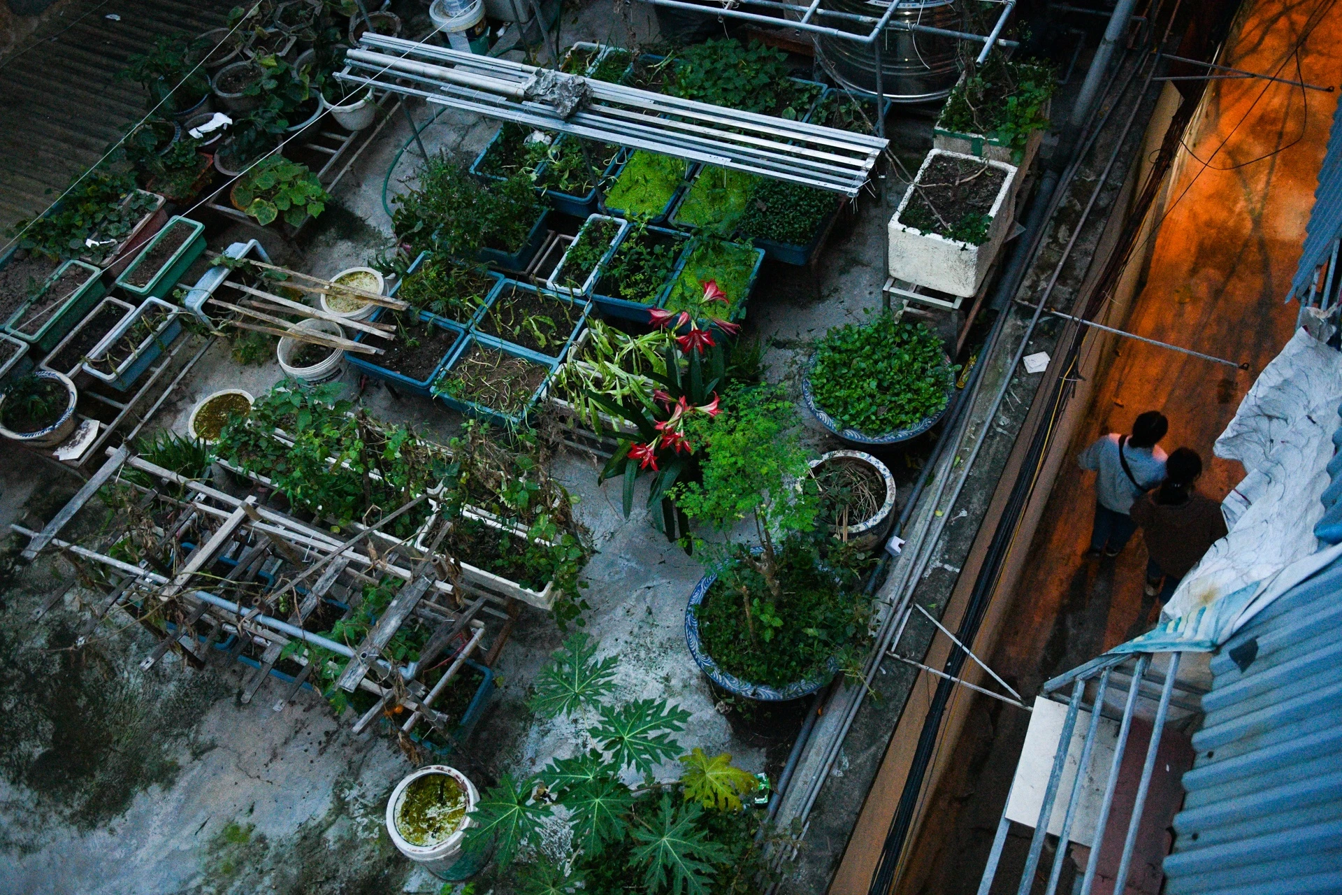 Kinh doanh trong khu tap the,  cuoc song trong cac khu tap the anh 28